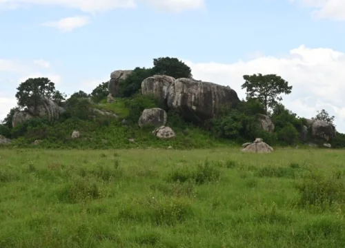 7-DAY SAFARI ADVENTURE WITH BEACH HOLIDAY