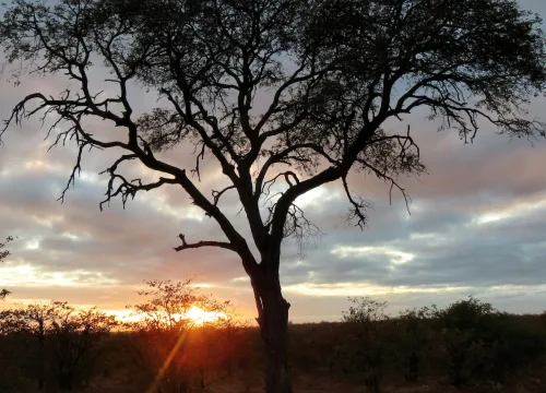 Your Safari Packing List? Lets get you covered!