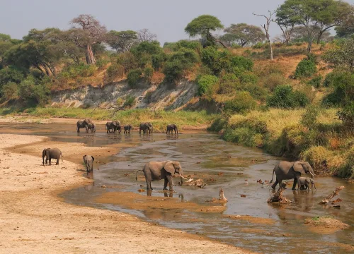 4 DAYS SPECIAL PRIVATE SAFARI