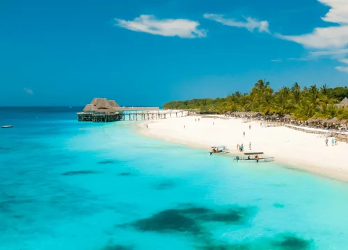 Discover Zanzibar: Travel Tips & Island Secrets