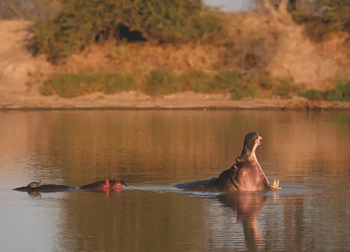 10-DAY SOUTH AFRICA CULTURE & WILDLIFE SAFARI