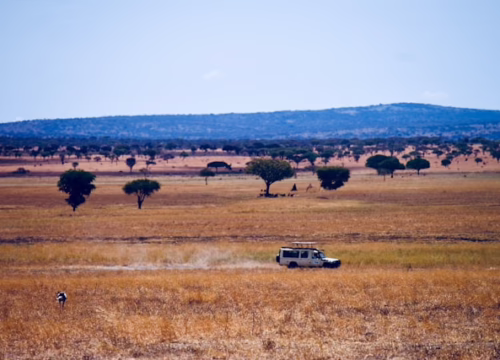 Trips to Arusha National Park