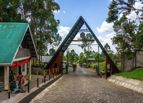 MOUNT KILIMANJARO CLIMB: MACHAME ROUTE, SERENGETI SAFARI & ZANZIBAR BEACH