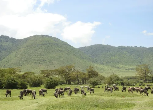 6 DAYS SAFARI AT THE NORTHERN CIRCUIT OF TANZANIA