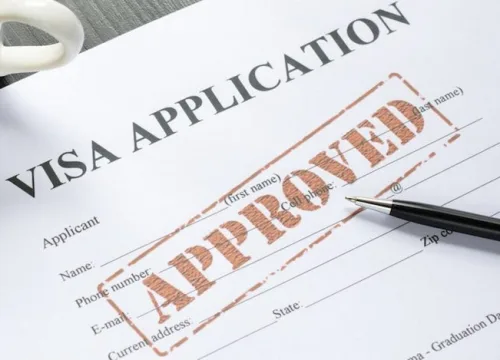 ACATREE Safari Guide: Visas & Flexibility