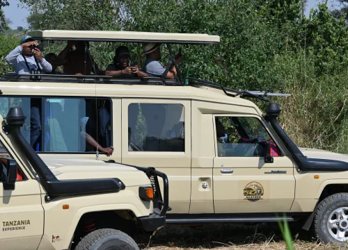 KILIMANJARO CLIMB, SERENGETI SAFARI & ZANZIBAR PACKAGE